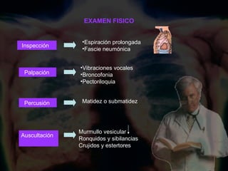 EXAMEN FISICO Inspección  Palpación  Auscultación  Percusión  Espiración prolongada Fascie neumónica Vibraciones vocales Broncofonia Pectoriloquia Matidez o submatidez Murmullo vesicular Ronquidos y sibilancias Crujidos y estertores   