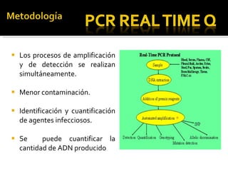 Los procesos de amplificación y de detección se realizan simultáneamente. Menor contaminación. Identificación y cuantificación de agentes infecciosos. Se  puede cuantificar la cantidad de ADN producido 
