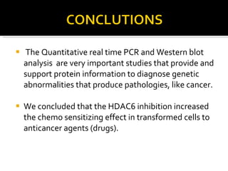 The Quantitative real time PCR and Western blot analysis  are very important studies that provide and support protein information to diagnose genetic abnormalities that produce pathologies, like cancer. We concluded that the HDAC6 inhibition increased the chemo sensitizing effect in transformed cells to anticancer agents (drugs). 