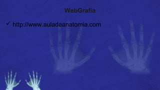 WebGrafia
 http://www.auladeanatomia.com
 