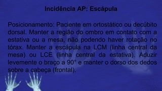 Incidência AP: Escápula
Posicionamento: Paciente em ortostático ou decúbito
dorsal. Manter a região do ombro em contato com a
estativa ou a mesa, não podendo haver rotação no
tórax. Manter a escápula na LCM (linha central da
mesa) ou LCE (linha central da estativa). Aduzir
levemente o braço a 90° e manter o dorso dos dedos
sobre a cabeça (frontal).
 