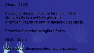 Chassi: 24x30
Patologia: Nessa incidência teremos melhor
visualização da cavidade glenóide,
e também fratura do angulo inferior da escapula.
Proteção: Gonodal na região Pélvica.
Dfofi: 100 cm.
Respiração: Suspensa durante a exposição.
 