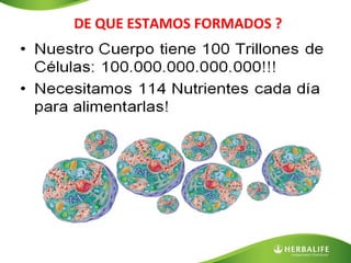 DE QUE ESTAMOS FORMADOS ?

 
