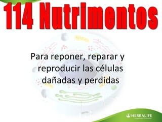 Para reponer, reparar y
reproducir las células
dañadas y perdidas

 