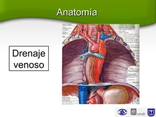 AnatomíaAnatomía
Drenaje
venoso
 