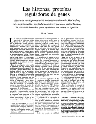 Seminario replicacion histonas y regulacion_genica