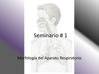 Seminario # 1
Morfología del Aparato Respiratorio
 