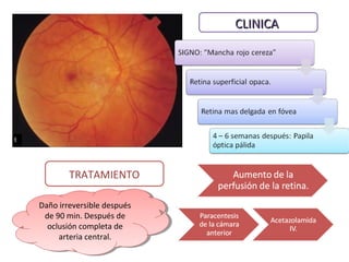 CLINICA

TRATAMIENTO
Daño irreversible después
Daño irreversible después
de 90 min. Después de
de 90 min. Después de
oclusión completa de
oclusión completa de
arteria central.
arteria central.

 