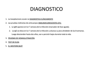 DIAGNOSTICO
1. La toxoplasmosis ocular se DIAGNOSTICA CLÍNICAMENTE
2. Las pruebas indirectas de anticuerpos INMUNOFLORESCENTES (IFI):
1. La IgM aparece en la 1° semana de la infección (marcador de fase aguda).
2. La IgG se eleva en la 1° semana de la infección y alcanza su pico alrededor de las 8 semanas.
Luego descienden hasta dos años, van a persistir bajos durante toda la vida.
3. PRUEBAS DE HEMAGLUTINACIÓN.
4. TEST DE ELISA
5. EL WESTERN BLOT

 
