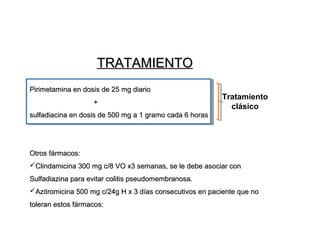 TRATAMIENTO
 

Pirimetamina en dosis de 25 mg diario 
+

Tratamiento
clásico

sulfadiacina en dosis de 500 mg a 1 gramo cada 6 horas

Otros fármacos:
Clindamicina 300 mg c/8 VO x3 semanas, se le debe asociar con 
Sulfadiazina para evitar colitis pseudomembranosa.
Azitromicina 500 mg c/24g H x 3 días consecutivos en paciente que no 
toleran estos fármacos:

 