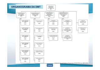 ORGANOGRAMA DA DMT
 