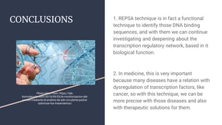 CONCLUSIONS 1. REPSA technique is in fact a functional
technique to identify those DNA binding
sequences, and with them we...