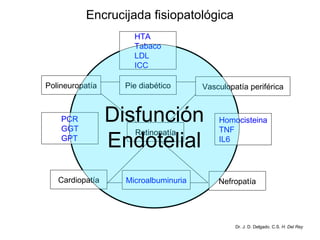 Encrucijada fisiopatológica Nefropatía Retinopatía Cardiopatía Microalbuminuria Homocisteina TNF IL6 PCR GGT GPT HTA Tabaco LDL ICC Polineuropatía Vasculopatía periférica Pie diabético Disfunción Endotelial Dr. J. D. Delgado. C.S.  H. Del Rey 