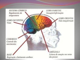 Deve-se perguntar dados sobre o paciente, como nome, data de nascimento, profissão e o que faz no hospital.6