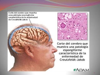 Deve ser capaz de identificar seus familiares, amigos próximos e pessoal que o atende (médicos, enfermeiras, auxiliares, etc.).