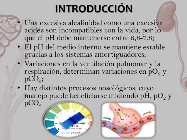 Los parásitos a la persona el picor anal