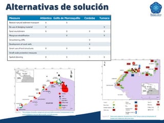 Alternativas de solución
 