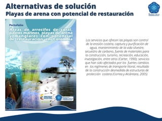 Alternativas de solución
Playas de arena con potencial de restauración
Los servicios que ofrecen las playas son control
de la erosión costera, captura y purificación de
agua, mantenimiento de la vida silvestre,
secuestro de carbono, fuente de materiales para
la construcción, turismo, recreación, educación,
investigación, entre otros (Carter, 1990); servicios
que han sido afectados por los fuertes cambios
en los regímenes de transporte litoral, resultado
de la construcción desmedida de estructuras de
protección costera (Correa y Alcántara, 2005)
 