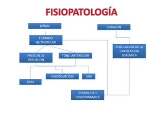 FISIOPATOLOGÍA
         RIÑON                                   CORAZON


         FILTRADO
       GLOMERULAR
                                                     REGULACION DE LA
                                                       CIRCULACION
PRESION DE             TONO ARTERIOLAR                  SISTEMICA
PERFUSION



                 VASODILATORES        SNS
SRAA


                                   ESTABILIDAD
                                 HEMODINAMICA
 