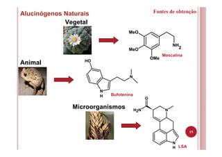 19
Alucinógenos Naturais
N
H
N
OH
Microorganismos
Vegetal
Animal
NH
2
MeO
MeO
OMe
N
N
H
O
NH2
Fontes de obtenção
Mescalina
Bufotenina
LSA
 
