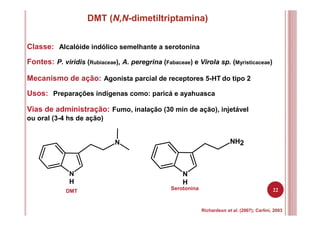 22
DMT (N,N-dimetiltriptamina)
Classe: Alcalóide indólico semelhante a serotonina
Fontes: P. viridis (Rubiaceae), A. peregrina (Fabaceae) e Virola sp. (Myristicaceae)
Mecanismo de ação: Agonista parcial de receptores 5-HT do tipo 2
Usos: Preparações indígenas como: paricá e ayahuasca
Vias de administração: Fumo, inalação (30 min de ação), injetável
ou oral (3-4 hs de ação)
N
H
N
N
H
NH2
Richardson et al. (2007); Carlini, 2003
DMT
Serotonina
 
