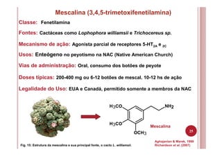 25
Mescalina (3,4,5-trimetoxifenetilamina)
Fig. 15: Estrutura da mescalina e sua principal fonte, o cacto L. williamsii.
Classe: Fenetilamina
Fontes: Cactáceas como Lophophora williamsii e Trichocereus sp.
Mecanismo de ação: Agonista parcial de receptores 5-HT2A e 2C
Usos: Enteógeno no peyotismo na NAC (Native American Church)
Vias de administração: Oral, consumo dos botões de peyote
Doses típicas: 200-400 mg ou 6-12 botões de mescal. 10-12 hs de ação
Aghajanian & Marek, 1999
Richardson et al. (2007)
NH2H3CO
H3CO
OCH3
Legalidade do Uso: EUA e Canadá, permitido somente a membros da NAC
Mescalina
 