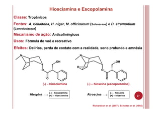 27
Hiosciamina e Escopolamina
Classe: Tropânicos
Fontes: A. belladona, H. niger, M. officinarum (Solanaceae) e D. stramonium
(Convolvulaceae)
Mecanismo de ação: Anticolinérgicos
Usos: Fórmula do voô e recreativo
Richardson et al. (2007); Schultes et al. (1992)
Efeitos: Delírios, perda de contato com a realidade, sono profundo e amnésia
O
O
OH
N
O
O
OH
N
O
(-) – hiosciamina (-) – hioscina (escopolamina)
(-) – hiosciamina
(+) – hiosciaminaAtropina
(-) – hioscina
(+) – hioscinaAtroscina
 