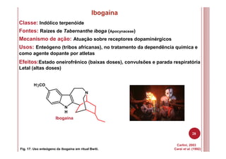 28
Ibogaína
Classe: Indólico terpenóide
Fontes: Raízes de Tabernanthe iboga (Apocynaceae)
Mecanismo de ação: Atuação sobre receptores dopaminérgicos
Usos: Enteógeno (tribos africanas), no tratamento da dependência química e
como agente dopante por atletas
Carlini, 2003
Carai et al. (1992)
Efeitos:Estado oneirofrênico (baixas doses), convulsões e parada respiratória
Letal (altas doses)
Fig. 17: Uso enteógeno da ibogaína em ritual Bwiti.
N
H
N
H3CO
Ibogaína
 