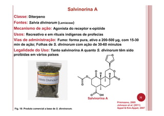 31
Salvinorina A
Classe: Diterpeno
Fontes: Salvia divinorum (Lamiaceae)
Mecanismo de ação: Agonista do receptor κ-opióide
Usos: Recreativo e em rituais indígenas de profecias
Prisinzano, 2005
Johnson et al. (2011)
Appel & Kim-Appel, 2007Fig. 18: Produto comercial a base de S. divninorum.
Vias de administração: Fumo: forma pura, ativo a 200-500 µg, com 15-30
min de ação; Folhas de S. divinorum com ação de 30-60 minutos
Legalidade do Uso: Tanto salvinorina A quanto S. divinorum têm sido
proibidas em vários países
O
O
O OH
O
H H
O
O
O
Salvinorina A
 