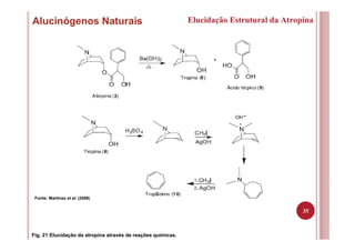 35
Alucinógenos Naturais Elucidação Estrutural da Atropina
Fig. 21:Elucidação da atropina através de reações químicas.
Fonte: Martinez et al. (2009)
 