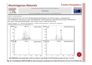 37
Alucinógenos Naturais Estudos Fitoquímicos
Fig. 22: Cromatograma (SPE-CG-EM) do vinho da jurema e ayahuasca em modo full scan (A e C) e em m/z 57-59 (B e D).
SPE( PMDS/DVB). Coluna SLB-5 (30m x 0.25 mm x 0.25 µm); Temp. 50-280 oC (20 oC/min);Gás de arraste: He; Fluxo: 1 mL/min
 