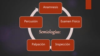 Anamnesis
Examen Físico
InspecciónPalpación
Percusión
 