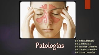 BR. Noel Gerardino
BR. Gabriela Gil
BR. Leander Gonzalez
BR. Gabriela Garavito
BR. Carlos Gonzalez
 