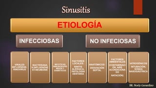 ETIOLOGÍA
INFECCIOSAS
VIRALES
INFLUENZAE,
RINOVIRUS
BACTERIANA
H.INFLUENZAE
ST.NEUMONIE
MICOTICAS
INMUNOSUPRI
MIDOS Y
DIABETICOS
NO INFECIOSAS
FACTORES
LOCALES:
RINITIS
ALÉRGICA,
PATOLOGÍA
DENTARIA
ANATÓMICOS:
DESVIACIÓN
SEPTAL
FACTORES
AMBIENTALES
(CONTAMINACI
ÓN, AIRE
ACONDICIONA
DO
NATACIÓN)
IATROGÉNICOS
INTUBACIÓN,
SONDA
NASOGÁSTRICA
BR. Noely Gerardino
 