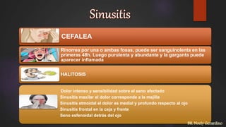 CEFALEA
Rinorrea por una o ambas fosas, puede ser sanguinolenta en las
primeras 48h. Luego purulenta y abundante y la garganta puede
aparecer inflamada
HALITOSIS
Dolor intenso y sensibilidad sobre el seno afectado
Sinusitis maxilar el dolor corresponde a la mejilla
Sinusitis etmoidal el dolor es medial y profundo respecto al ojo
Sinusitis frontal en la ceja y frente
Seno esfenoidal detrás del ojo
BR. Noely Gerardino
 