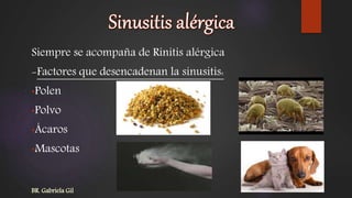 Siempre se acompaña de Rinitis alérgica
-Factores que desencadenan la sinusitis:
•Polen
•Polvo
•Ácaros
•Mascotas
BR. Gabriela Gil
 