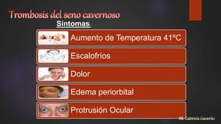 Aumento de Temperatura 41ºC
Escalofríos
Dolor
Edema periorbital
Protrusión Ocular
Síntomas:
BR. Gabriela Garavito
 