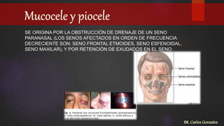 SE ORIGINA POR LA OBSTRUCCIÓN DE DRENAJE DE UN SENO
PARANASAL (LOS SENOS AFECTADOS EN ORDEN DE FRECUENCIA
DECRECIENTE SON: SENO FRONTAL ETMOIDES, SENO ESFENOIDAL,
SENO MAXILAR), Y POR RETENCIÓN DE EXUDADOS EN EL SENO.
BR. Carlos Gonzalez
 