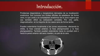 Problemas diagnósticos y terapéuticos derivados de su localización
anatómica. Son tumores con límites difíciles de establecer de forma
clara, lo que unido a la complejidad anatómica de la zona origina que
sea también difícil su extirpación completa. Por otra parte,
diagnosticarlos en la mayoria de los casos sera de forma tardía.
Pueden extenderse localmente a las zonas adyacentes, afectando la
órbita, la fosa craneal anterior, la fosa pterigomaxilar y la fosa
pterigopalatina. También pueden extenderse hacia la cavidad oral o
hacia la pared anterior del seno maxilar y la piel de la cara.
 