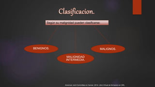 Según su malignidad pueden clasificarse:
BENIGNOS. MALIGNOS.
MALIGNIDAD
INTERMEDIA.
American Joint Committee on Cancer, 2014. Libro Virtual de formacion en ORL.
 