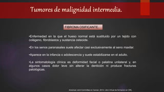 American Joint Committee on Cancer, 2014. Libro Virtual de formacion en ORL.
FIBROMA OSIFICANTE.
•Enfermedad en la que el hueso normal está sustituido por un tejido con
colágeno, fibroblastos y sustancia osteoide.
•En los senos paranasales suele afectar casi exclusivamente al seno maxilar.
•Aparece en la infancia o adolescencia y suele estabilizarse en el adulto.
•La sintomatología clínica es deformidad facial o palatina unilateral y, en
algunos casos dolor leve sin alterar la dentición ni produce fracturas
patológicas.
 