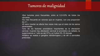 •Son tumores poco frecuentes, entre el 0.2-0.8% de todos los
cánceres.
•Es más frecuente en varones que en mujeres, con una proporción
de 2:1.
•El seno maxilar se afecta tres veces más que el resto de los senos
paranasales.
•Uno de los factores pronósticos importantes es la afectación
cervical. Cuando hay afectación cervical el pronóstico es nefasto, la
supervivencia a 1 año es del 37% y a 3 años 0%. El drenaje
•linfático se realiza a ganglios retrofaríngeos y de allí a cervicales
profundos.
 