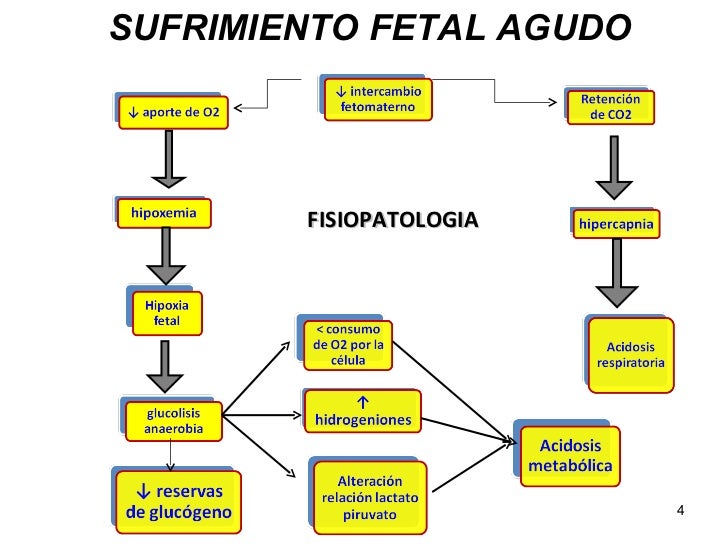 MECONIO Y SUFRIMIENTO FETAL EPUB DOWNLOAD MECONIO Y SUFRIMIENTO FETAL EPUB DOWNLOAD