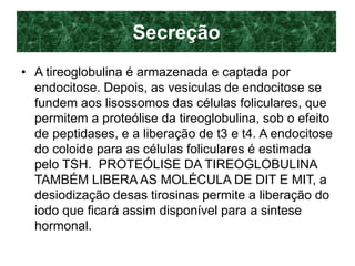 Secreção
• A tireoglobulina é armazenada e captada por
endocitose. Depois, as vesiculas de endocitose se
fundem aos lisossomos das células foliculares, que
permitem a proteólise da tireoglobulina, sob o efeito
de peptidases, e a liberação de t3 e t4. A endocitose
do coloide para as células foliculares é estimada
pelo TSH. PROTEÓLISE DA TIREOGLOBULINA
TAMBÉM LIBERA AS MOLÉCULA DE DIT E MIT, a
desiodização desas tirosinas permite a liberação do
iodo que ficará assim disponível para a sintese
hormonal.
 