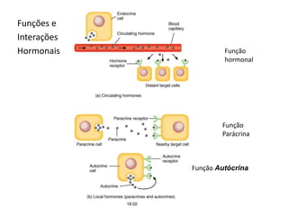 Funções e
Interações
Hormonais Função
hormonal
Função
Parácrina
Função Autócrina
 