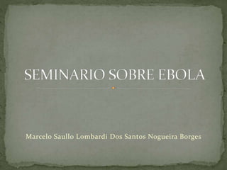 Marcelo Saullo Lombardi Dos Santos Nogueira Borges 
 
