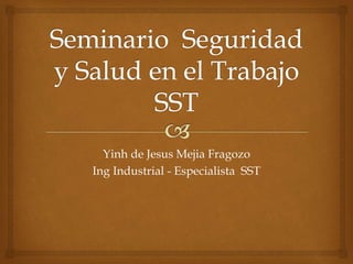 Yinh de Jesus Mejia Fragozo
Ing Industrial - Especialista SST
 