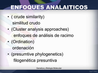 ENFOQUES ANALAITICOS
• ( crude similarity)
similitud crudo
• (Cluster analysis approaches)
enfoques de análisis de racimo
• (Ordination)
ordenación
• (presumtive phylogenetics)
filogenética presuntiva
Genetica y Biologia Molecular
 