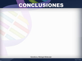 CONCLUSIONES
Genetica y Biologia Molecular
 