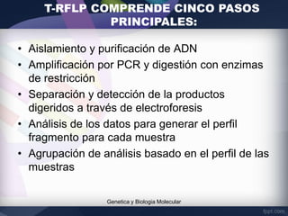 • Aislamiento y purificación de ADN
• Amplificación por PCR y digestión con enzimas
de restricción
• Separación y detección de la productos
digeridos a través de electroforesis
• Análisis de los datos para generar el perfil
fragmento para cada muestra
• Agrupación de análisis basado en el perfil de las
muestras
Genetica y Biologia Molecular
T-RFLP COMPRENDE CINCO PASOS
PRINCIPALES:
 